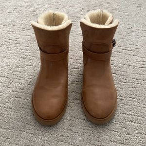 Chestnut Ugg Boots
